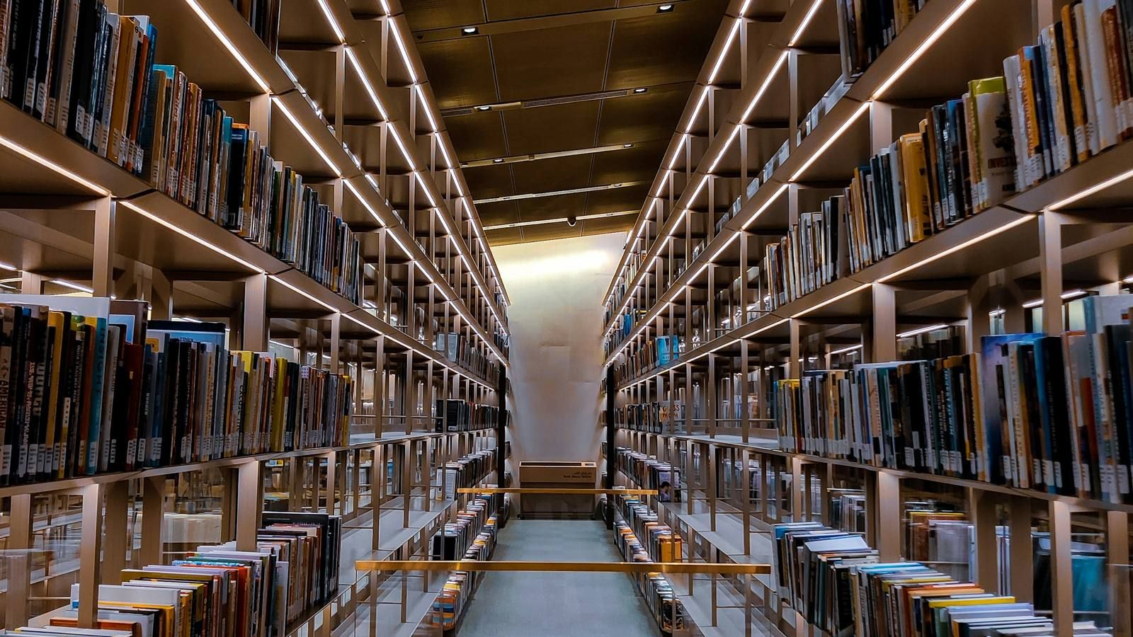 Symmetrisch bibliotheekpad verlicht door lichtstroken